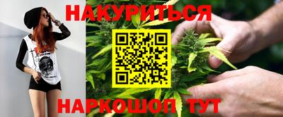 apvp Камышлов