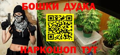 стаф Канаш