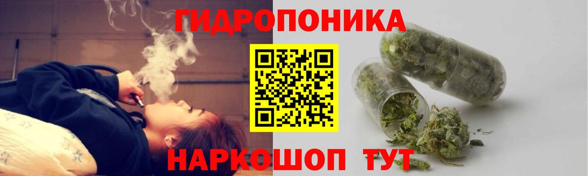 Канабис гибрид Краснознаменск